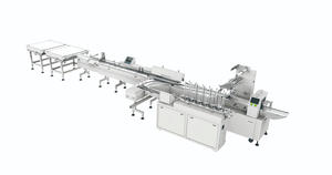 Feeding System With Tray Loader | Robot Packing Machine | Automatic Feeding System