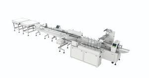 Automatic Pouch Packing Machine - Soontrue