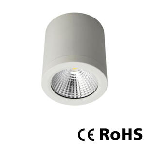 Ceiling spotlights, led ceiling lights for homes, ceiling mounted spotlight supplier