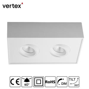 Surface Mounted Ceiling Lights - Vertex