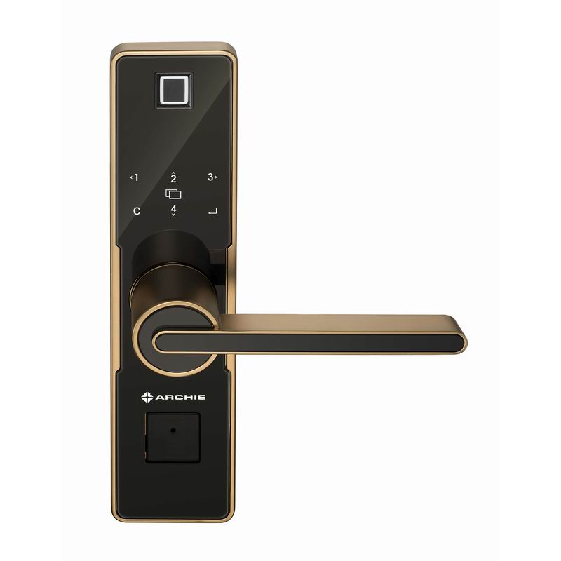 Smart Indoor Door Lock Fingerprint | J4011-04
