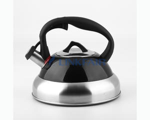 2.6L Stainless Steel Tea Kettle, Stainless Steel, Double Color