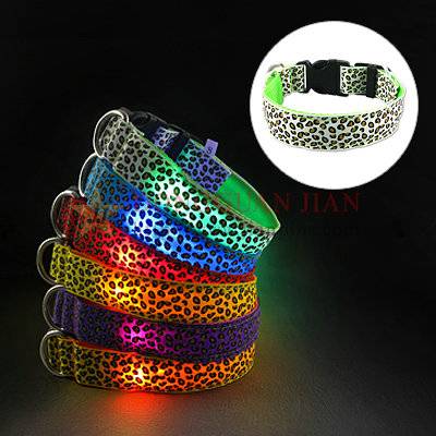 Fashionable LED dog collar with flashing lights blinking in the darkness