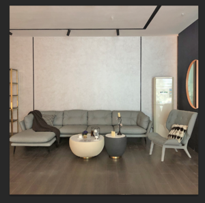 Leather Luxury Living Room furniture