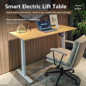 Standing Desk Adjustable Height Electric Stand Up Desk Home Office Computer Desk