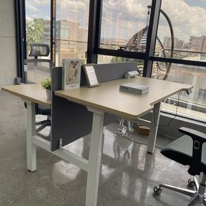 Electric Standing Desk Double-person Staff Lifting Table