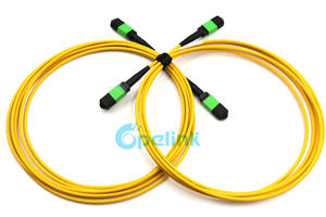 MPO Trunk Cable | SM MPO/MTP Patchcord, Best Price For Sale