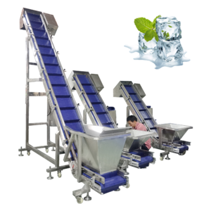 China Professional Frozen food belt conveyor - Focusconveyor