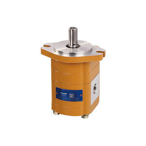 China high quality Hydraulic gear motors manufacturers factory direct sale low price