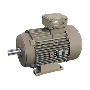 VVVF Induction Motor For Lifting And Metallurgical Application
