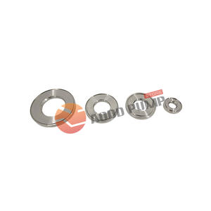 Compatible with Sandpiper Valve Seat Stainless steel  722-098-110 722.098.110