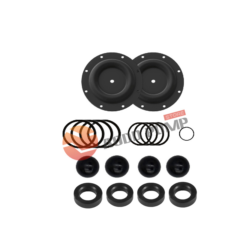 Wet End Kit A637119-22-C-SF Fits ARO 6661XX Pumps