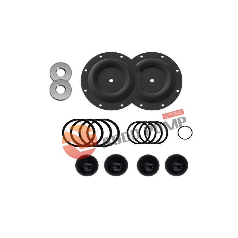 Wet End Kit A637124-55 Fits ARO 66615X Pumps