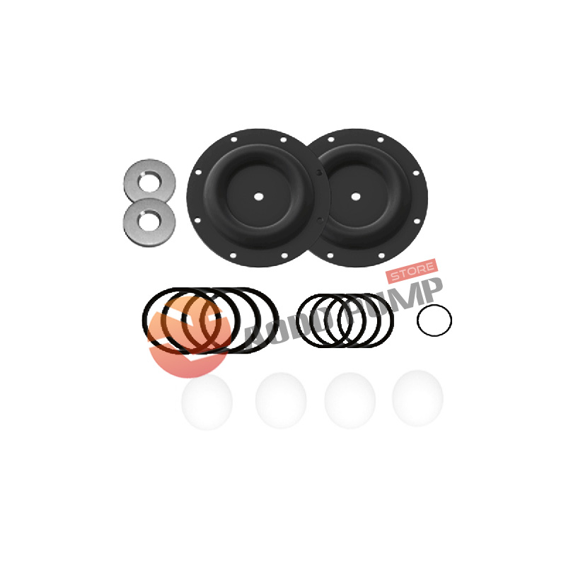 Wet End Kit A637124-61 Fits ARO 66615X Pumps