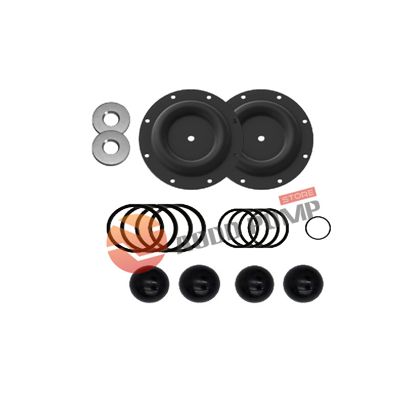 Wet End Kit A637124-22 Fits ARO 66615X Pumps