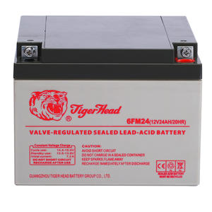hot sale professional tiger head solar battery suppliers
