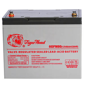 high quality professional solar battery supplier