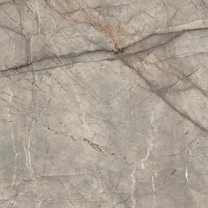 Sintered Stone Slabs | Sintered Stone 160-360DBP15801M