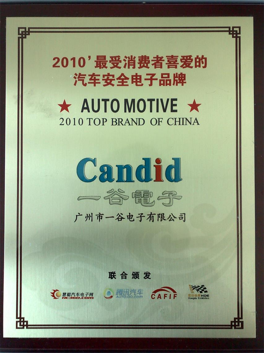 Auto Motive 2010 TOP Brand Of China