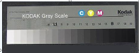 Grey scale card