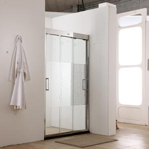   Famous Brand High-quality Sanitary Grade Shower Door LBS523-6