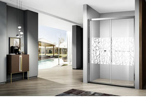 SANNORA  Famous brand high-quality sanitary grade shower door 