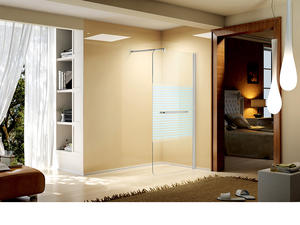    Famous Brand High-Quality Sanitary Grade Shower Door  LB03-008