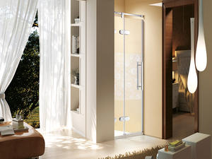    Famous Brand High-Quality Sanitary Grade Shower Door  LB04-10