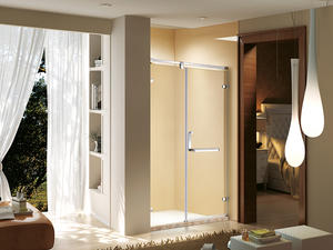   Famous Brand High-Quality Sanitary Grade Shower Door  LB05-008