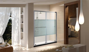 Famous Brand High-Quality Sanitary Grade Shower Door SNDX0513