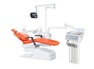 China professional dental chair for sale supply