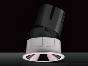 Adjustable Angle Recessed Downlight