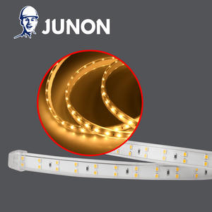 professional LED Light Strip manufacturers