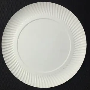 paper plate samples