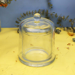 Factory Made Clear Bell Jars Delicate Handle with Glass Base