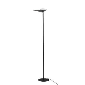 FL-20009 Palm Floor Lamp