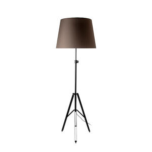 Big| home lamps|decor lamps|indoor lamps|floor lamps