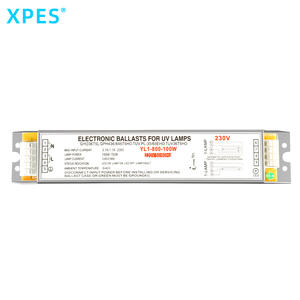 100W UV Lamp Driver - XPES 14 Years UV Ballast Manufacturer