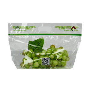 Green Seedless Grapes Vented Zipper Bag