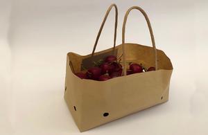 Wet Strength Cherry Paper Bag With Ventilation And Handle