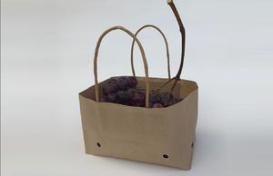 Bolsa de papel Kraft de resistencia húmeda para uvas de mesa con mango retorcido
