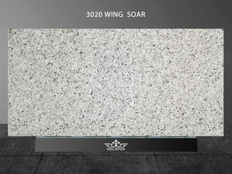 3020 Wing Soar 