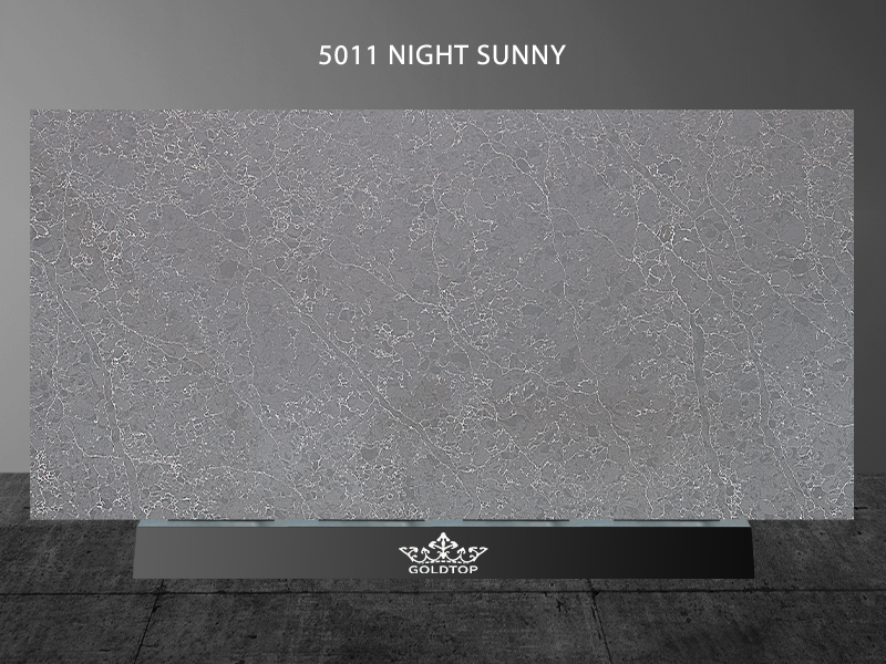 5011 Night Sunny 