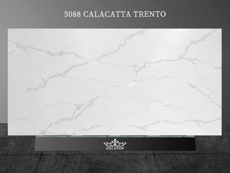 Calacatta Trento Quartz Msi Slab Countertops Bathroom Kitchen 5088
