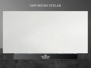 1009 Micro Stelar 
