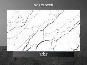 5009 Clover