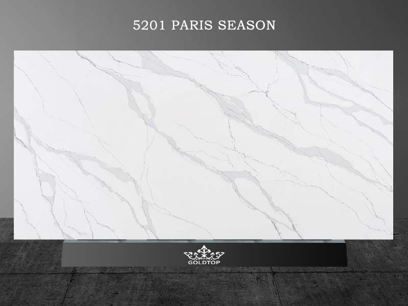 5201 Sezon paryski Kitchen Countertops Projekt Ideas