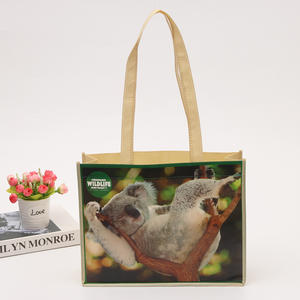 High Quality Load Bearing Lamination Material Pp Non Woven Tote Shopping Bag