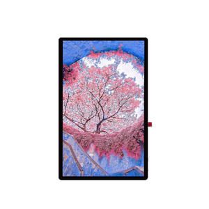 12-Inch High-Resolution TFT LCD Display Module - Vibrant Colors and Wide Viewing Angles
