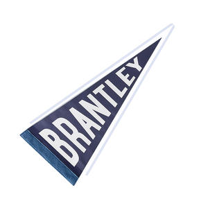 12x30 Sport Felt Banner Hanging Triangle Flag Bunting Pennant Toploader Holder 30x75mm